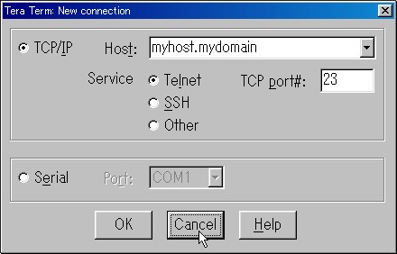 Tera Term: New connection